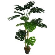 Artificial Monstera Plant 150cm Luxury Cheese Plant 5ft Tall Botanik Lucy And Phil Academy Lucy And Phil Academy
