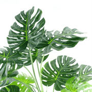Artificial Monstera Plant 150cm Luxury Cheese Plant 5ft Tall Botanik Lucy And Phil Academy Lucy And Phil Academy