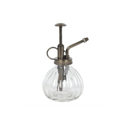 Botanical Plant Mister Lucy And Phil Academy Lucy And Phil Academy