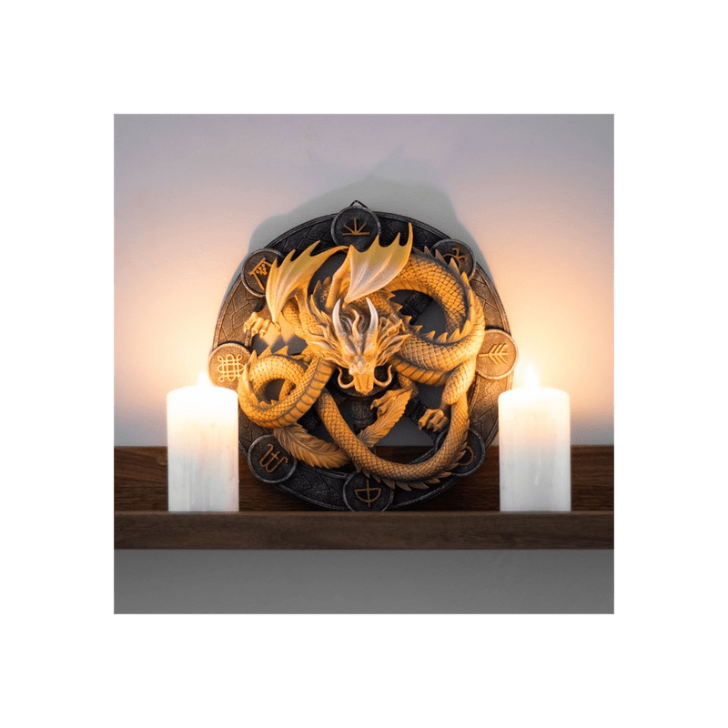 Imbolc Dragon Resin Wall Plaque by Anne Stokes Lucy And Phil Academy Lucy And Phil Academy