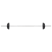 vidaXL Barbell and Dumbbell Set 30 kg Lucy And Phil Academy Lucy And Phil Academy
