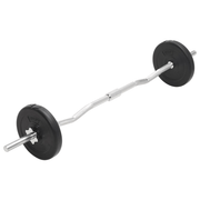 vidaXL Barbell and Dumbbell Set 30 kg Lucy And Phil Academy Lucy And Phil Academy