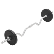 vidaXL Barbell and Dumbbell Set 30 kg Lucy And Phil Academy Lucy And Phil Academy