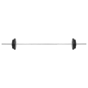vidaXL Barbell and Dumbbell Set 30 kg Lucy And Phil Academy Lucy And Phil Academy