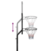 vidaXL Basketball Stand Transparent 256 - 361 cm Polycarbonate Lucy And Phil Academy Lucy And Phil Academy