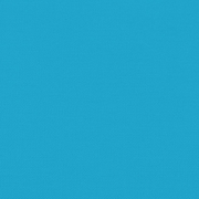 vidaXL Bike Trailer Blue Oxford Fabric and Iron Lucy And Phil Academy Lucy And Phil Academy