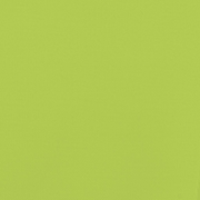 vidaXL Bike Trailer Green Oxford Fabric and Iron Lucy And Phil Academy Lucy And Phil Academy