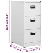 vidaXL Filing Cabinet Light Grey 46x62x102.5 cm Steel Lucy And Phil Academy Lucy And Phil Academy