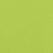 vidaXL Pet Bike Trailer Green and Grey Oxford Fabric and Iron Lucy And Phil Academy Lucy And Phil Academy