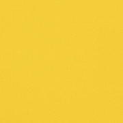 vidaXL Pet Bike Trailer Yellow and Black Oxford Fabric&Iron Lucy And Phil Academy Lucy And Phil Academy