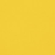 vidaXL Pet Bike Trailer Yellow and Black Oxford Fabric&Iron Lucy And Phil Academy Lucy And Phil Academy