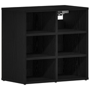 vidaXL Shoe Cabinet Black Oak 52 x 30 x 50.5 cm Engineered Wood Lucy And Phil Academy Lucy And Phil Academy