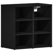 vidaXL Shoe Cabinet Black Oak 52 x 30 x 50.5 cm Engineered Wood Lucy And Phil Academy Lucy And Phil Academy