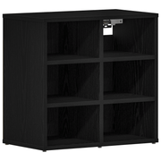 vidaXL Shoe Cabinet Black Oak 52 x 30 x 50.5 cm Engineered Wood Lucy And Phil Academy Lucy And Phil Academy