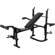 vidaXL Weight Bench Black Lucy And Phil Academy Lucy And Phil Academy
